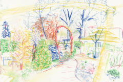 Preston Park Allotment