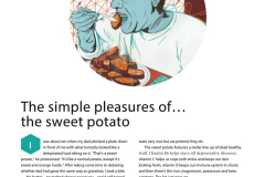 Umbrella Magazine - UK