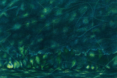 Federico-De-Cicco-Lucciola-15-copia-e1768646077739