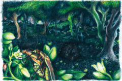 Federico-De-Cicco-Lucciola-16-copia-e1768643623285