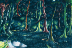 Federico-De-Cicco-Lucciola-21-copia-e1768643286430