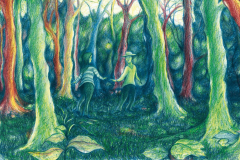 Federico-De-Cicco-Lucciola-23-copia-e1768643262270