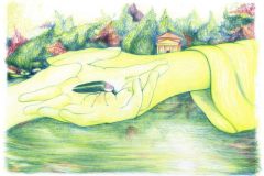 Federico-De-Cicco-Lucciola-25-copia-e1768643237150