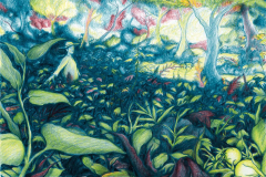 Federico-De-Cicco-Lucciola-7-copia-e1768643549245