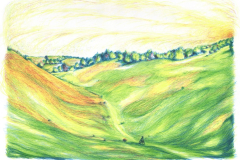 LUCCIOLA-PAGINA-3-scaled-e1768815675499