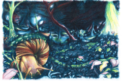 LUCCIOLA-PAGINA-6-scaled-e1768646130792