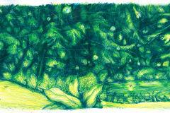LUCCIOLA-PAGINA-8-9