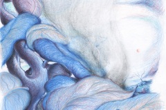 Credere-nella-natura-small