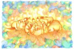 Volti-di-luce-A4-scaled-e1769427365529